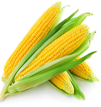 Fresh Sweet Corn (whole)
